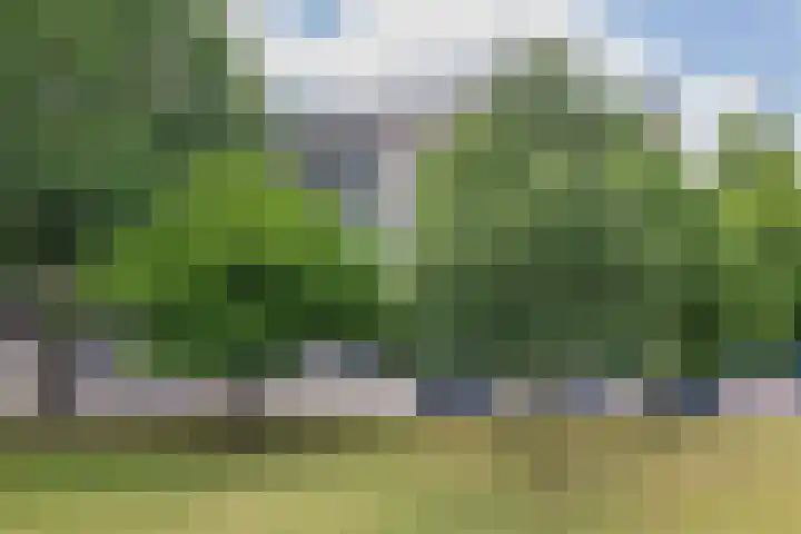 Aert van Neslaan 623 Oegstgeest thumbnail 25