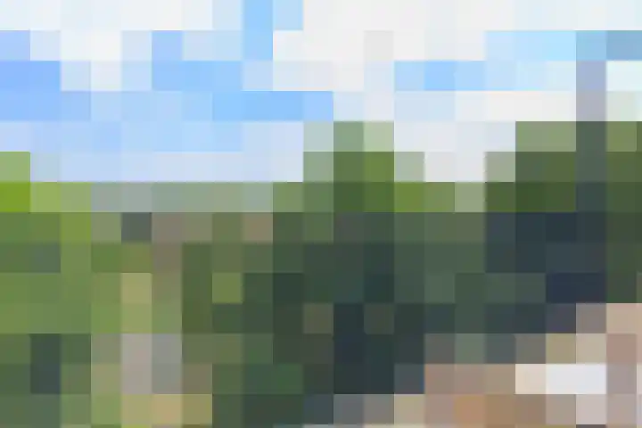 Aert van Neslaan 638 Oegstgeest thumbnail 14