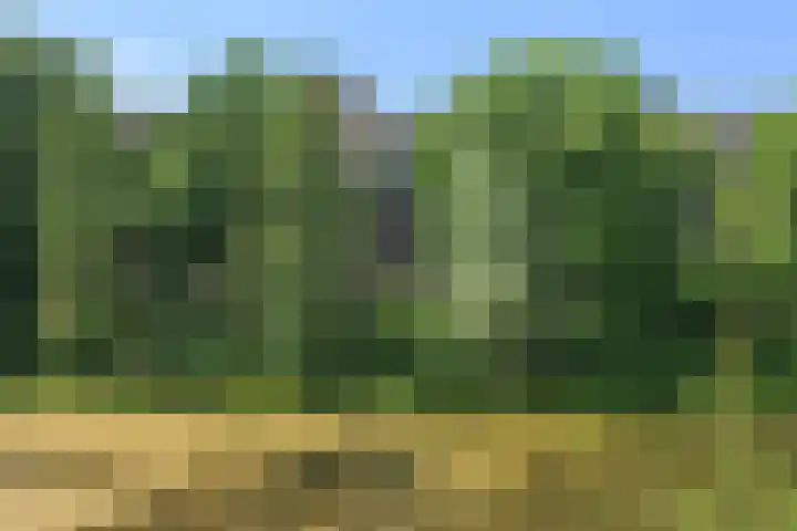 Aert van Neslaan 638 Oegstgeest thumbnail 15