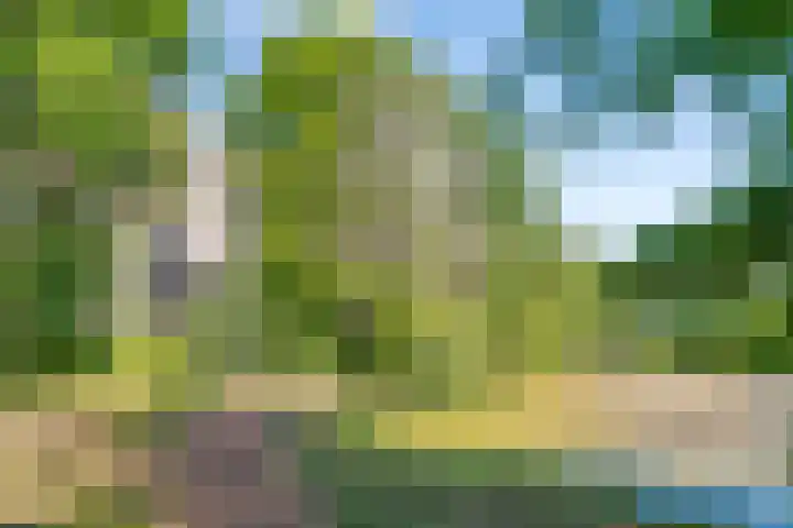 Aert van Neslaan 638 Oegstgeest thumbnail 17