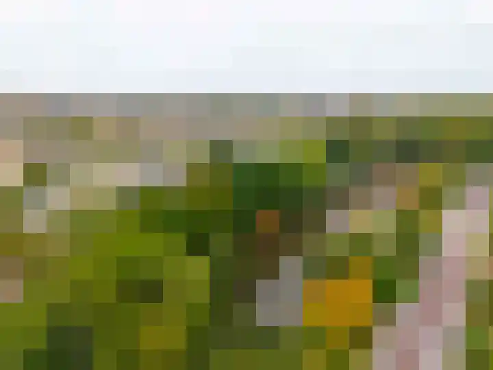 Aert van Neslaan 642 Oegstgeest thumbnail 21