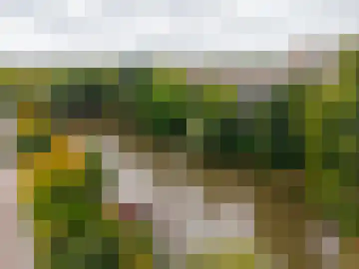 Aert van Neslaan 642 Oegstgeest thumbnail 22