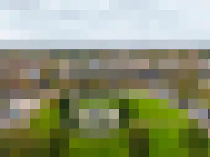 Aert van Neslaan 642 Oegstgeest thumbnail 23