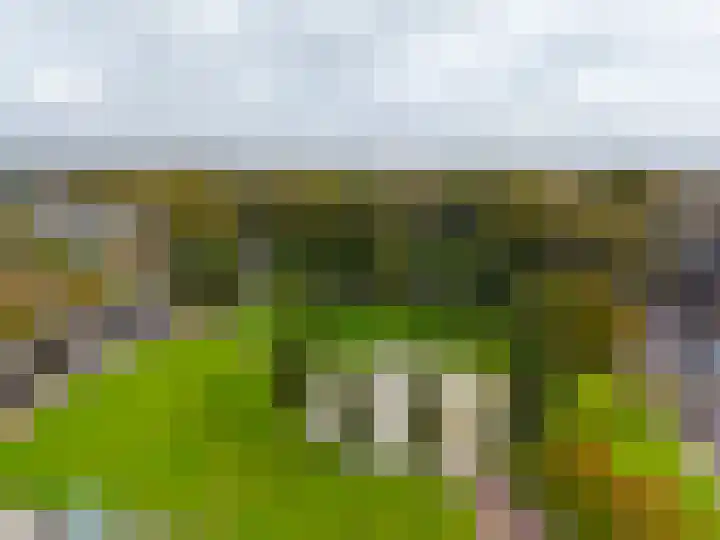 Aert van Neslaan 642 Oegstgeest thumbnail 25