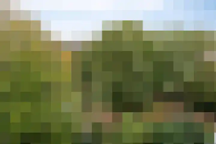 Aert van Neslaan 644 Oegstgeest thumbnail 27