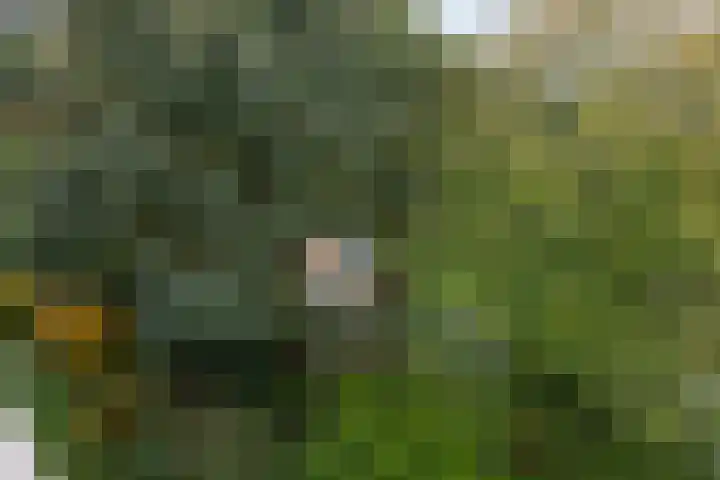 Aert van Neslaan 644 Oegstgeest thumbnail 28