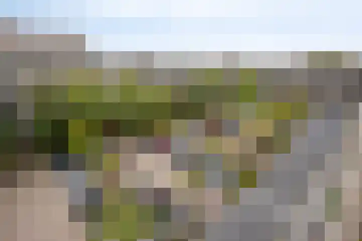 Aert van Neslaan 644 Oegstgeest thumbnail 29