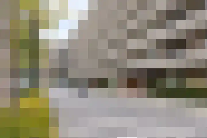 Aert van Neslaan 644 Oegstgeest thumbnail 31