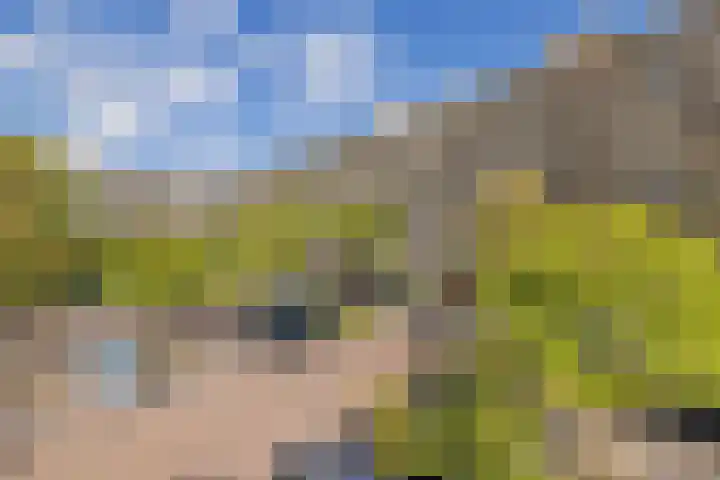 Aert van Neslaan 644 Oegstgeest thumbnail 33