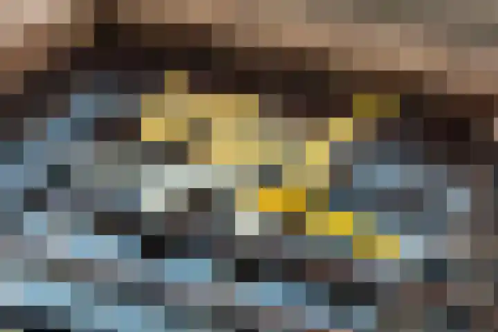 Aert van Neslaan 644 Oegstgeest thumbnail 36