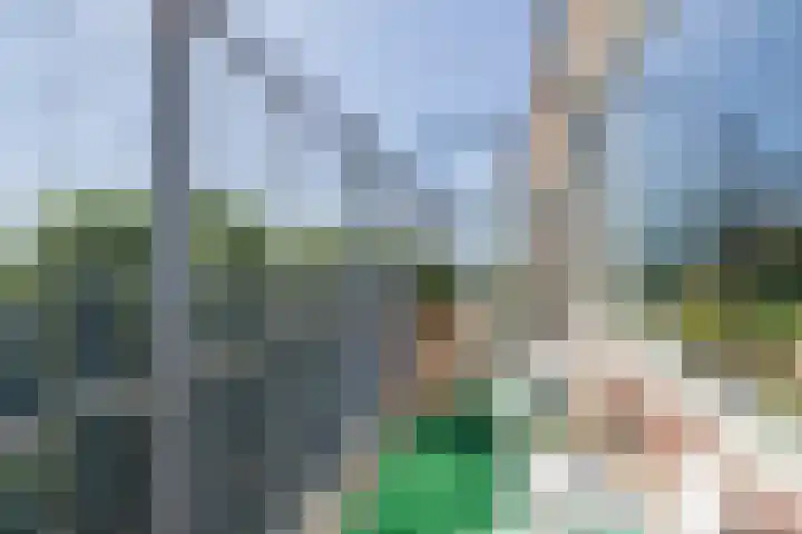 Aert van Neslaan 645 Oegstgeest thumbnail 23