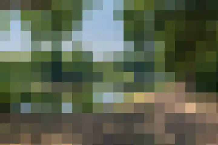 Aert van Neslaan 645 Oegstgeest thumbnail 28