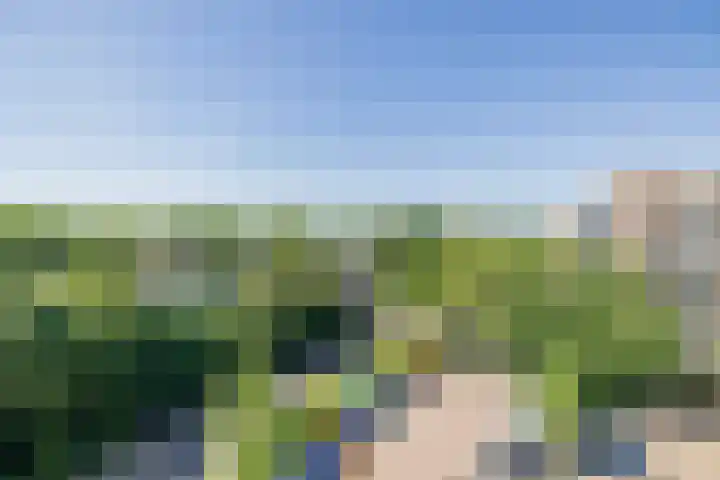 Aert van Neslaan 645 Oegstgeest thumbnail 6
