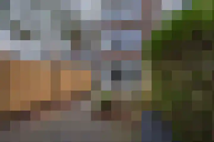 Aert van Neslaan 70 Oegstgeest thumbnail 14