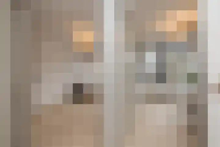 Aert van Neslaan 70 Oegstgeest thumbnail 30