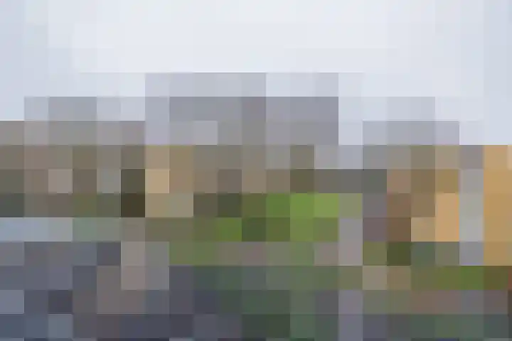 Aert van Neslaan 70 Oegstgeest thumbnail 41