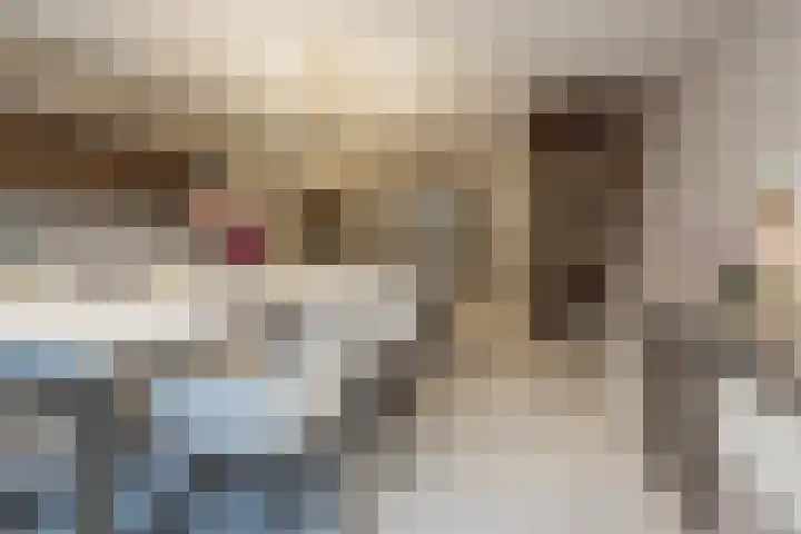 Aert van Neslaan 70 Oegstgeest thumbnail 8