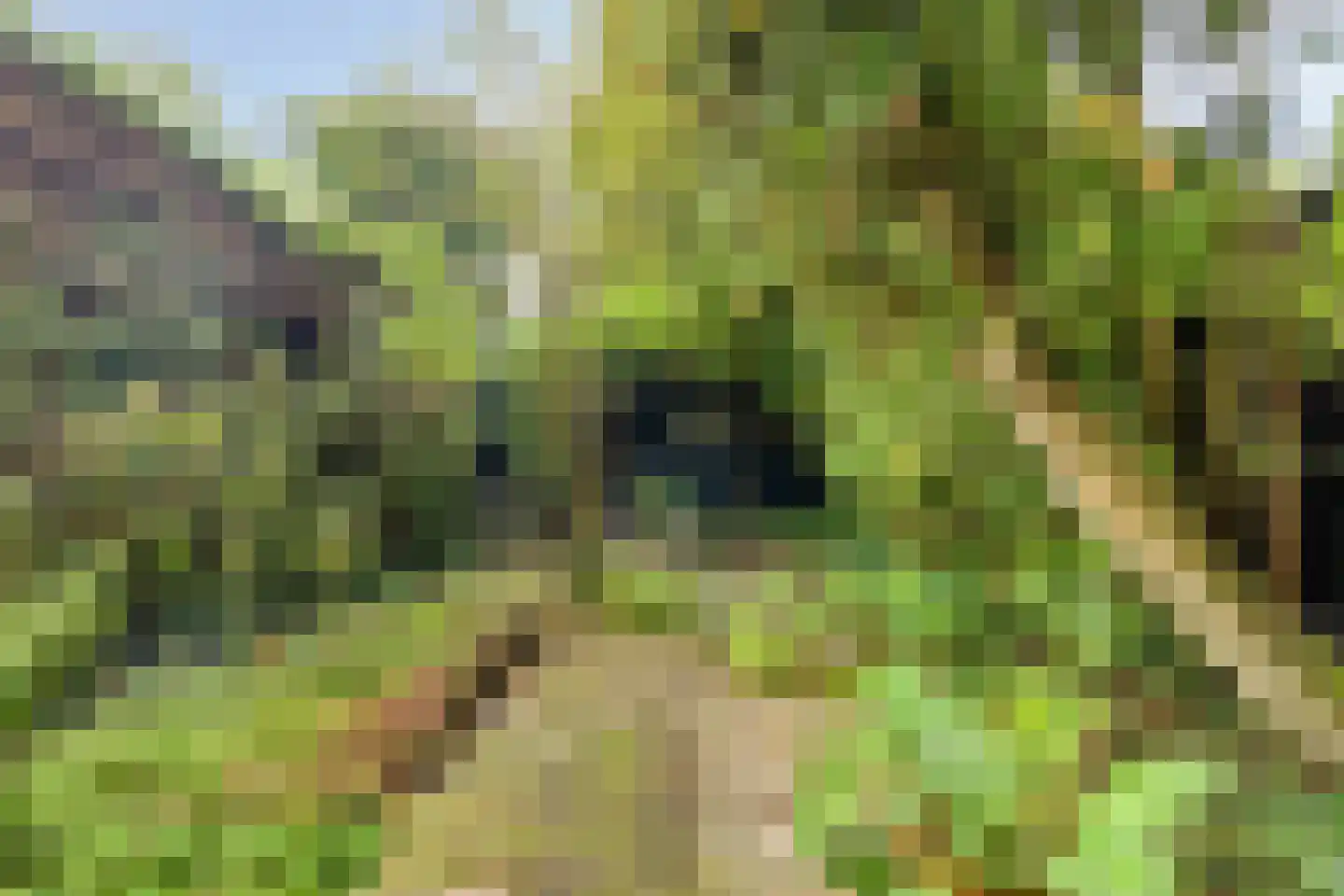 Aert van Neslaan 88 Oegstgeest thumbnail 30