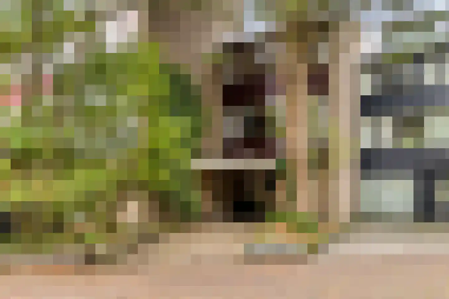 Aert van Neslaan 88 Oegstgeest thumbnail 34
