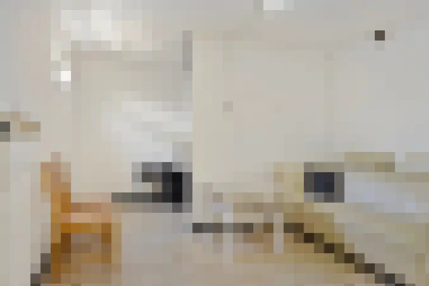 Aert van Nesstraat 11 's-Hertogenbosch thumbnail 13