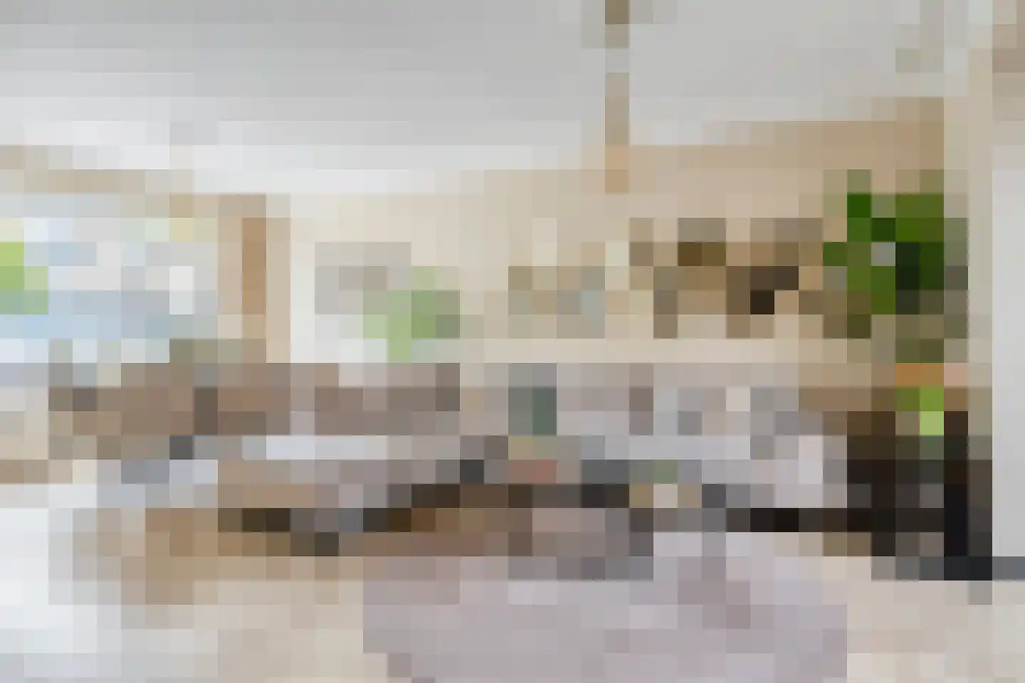 Aert van Nesstraat 11 's-Hertogenbosch thumbnail 4