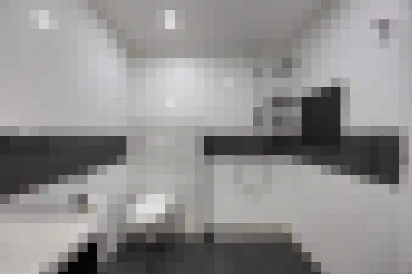 Aert van Nesstraat 2 's-Hertogenbosch thumbnail 14