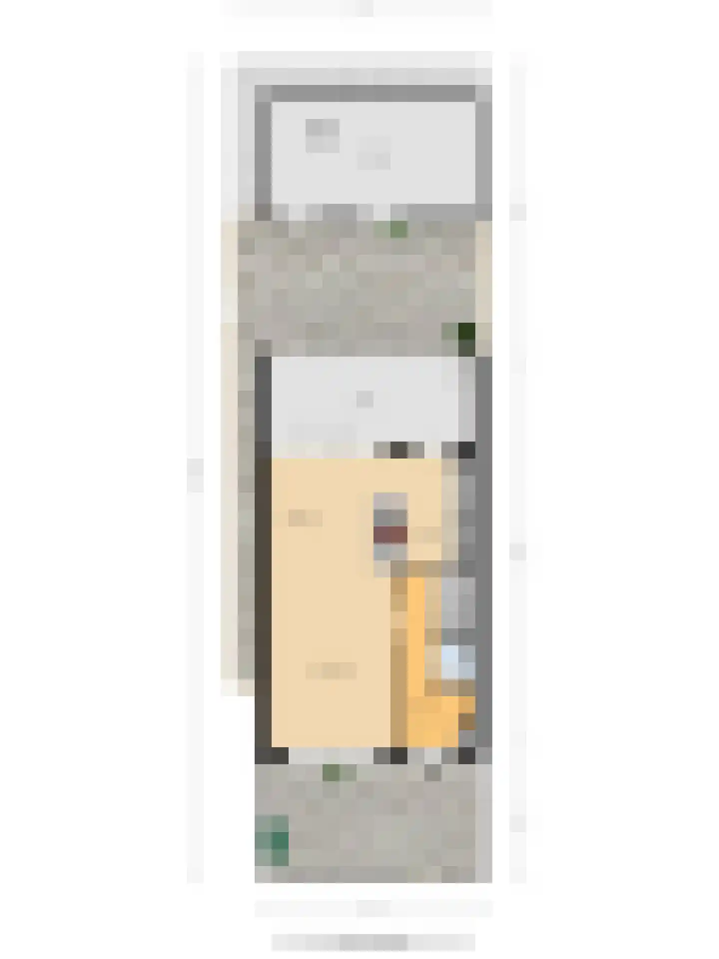 Aert van Nesstraat 2 's-Hertogenbosch thumbnail 36