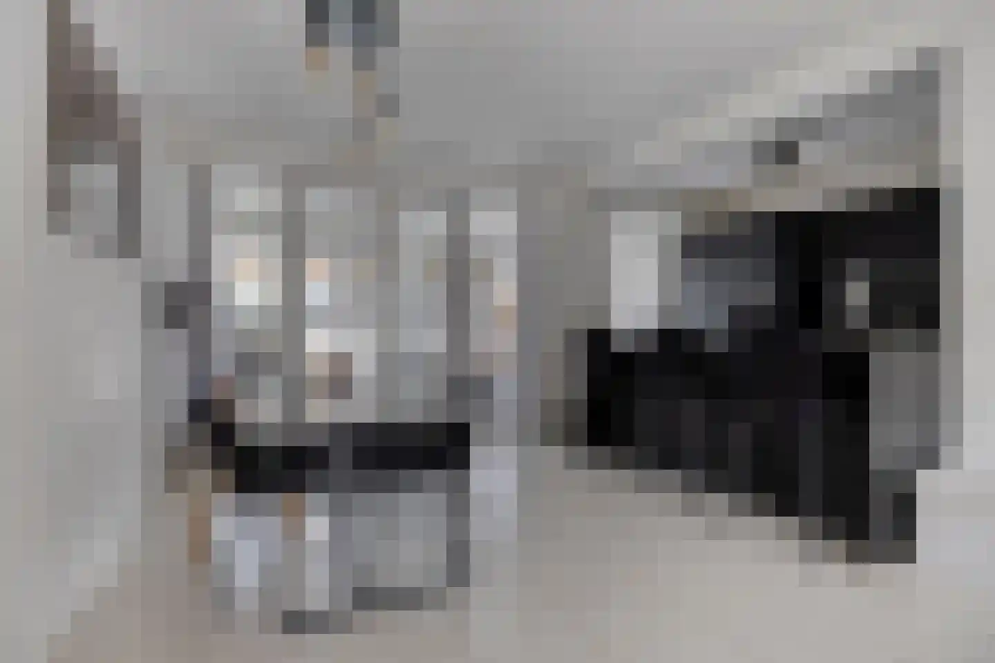 Aert van Nesstraat 2 's-Hertogenbosch thumbnail 4
