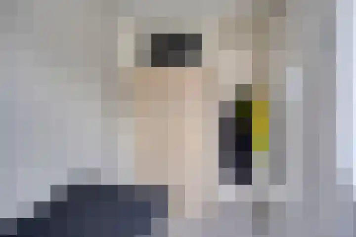 Aert van Nesstraat 31 's-Hertogenbosch thumbnail 20