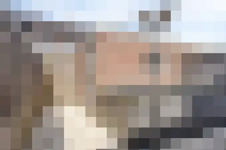 Aert van Nesstraat 31 's-Hertogenbosch thumbnail 31