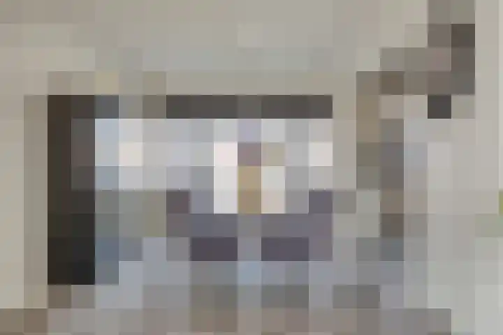 Aert van Nesstraat 31 's-Hertogenbosch thumbnail 4