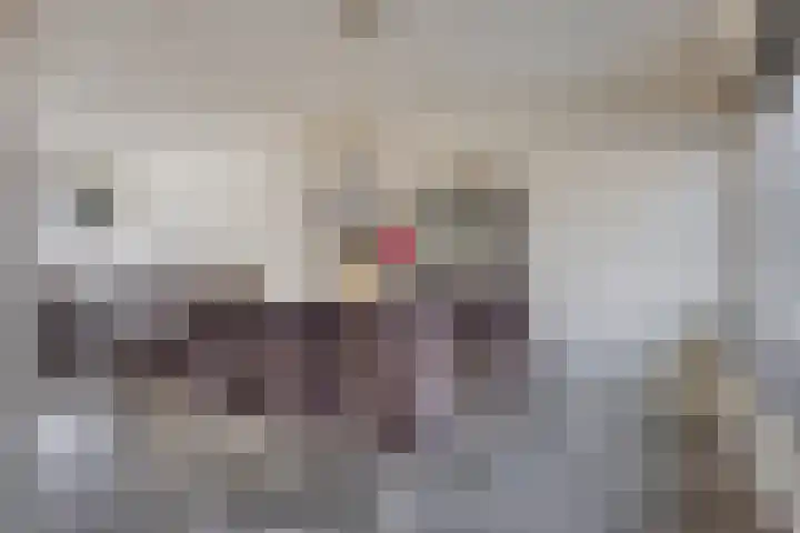 Aert van Nesstraat 31 's-Hertogenbosch thumbnail 5