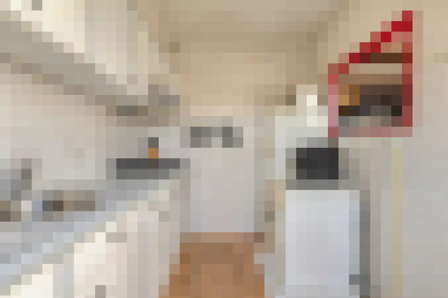 Aert van Nesstraat 5 's-Hertogenbosch thumbnail 10