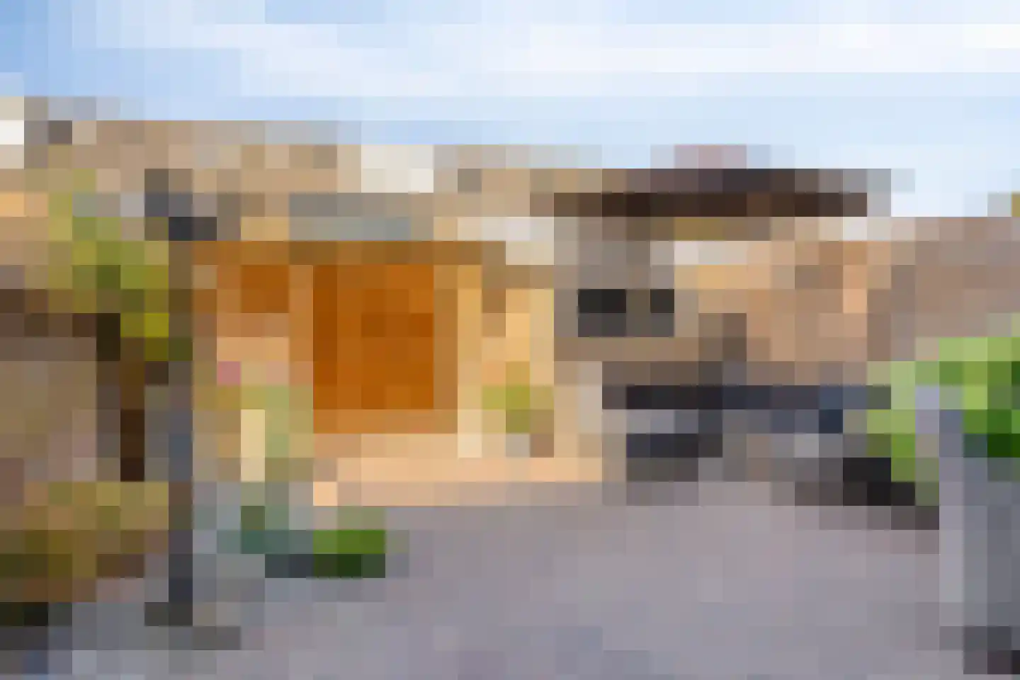 Aert van Nesstraat 8 Hendrik-Ido-Ambacht thumbnail 27