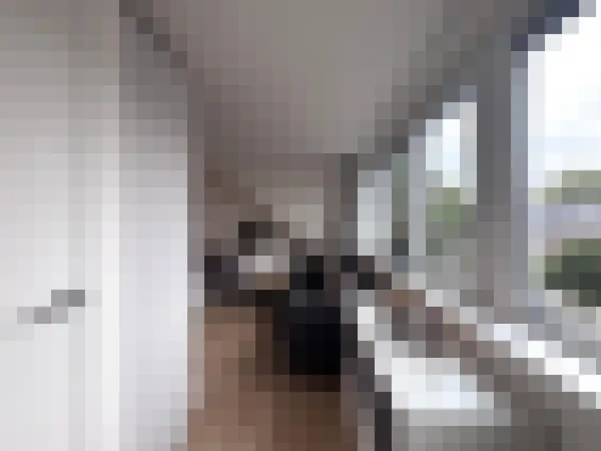 Aert van Trichtweg 21 Maastricht thumbnail 5