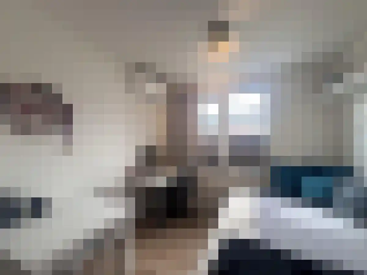 Aert van Trichtweg 21 Maastricht thumbnail 6