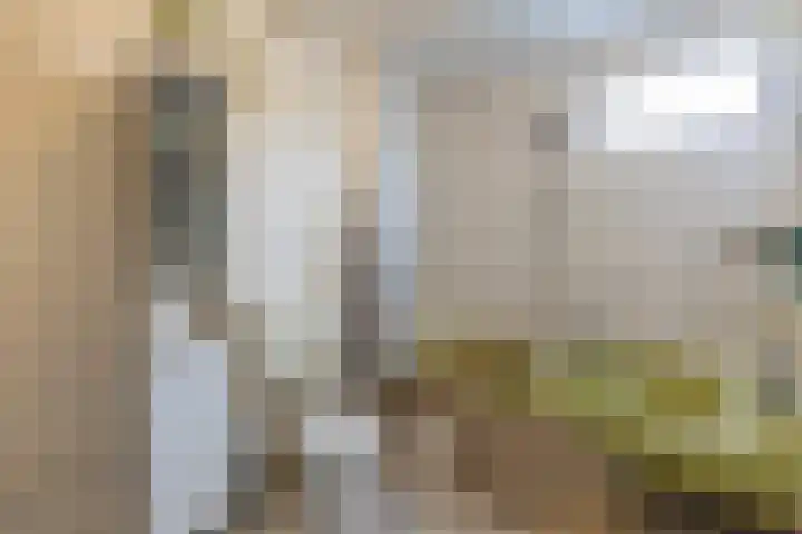 Aerwinkelstraat 14 Sittard thumbnail 33