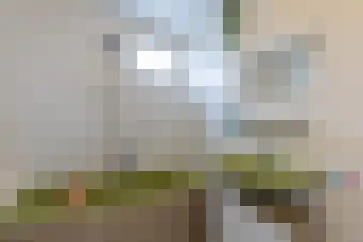 Aerwinkelstraat 14 Sittard thumbnail 34