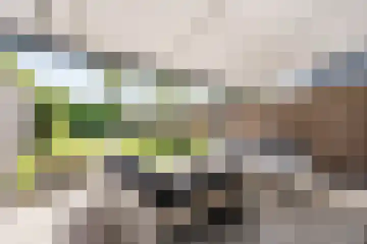 Aetsveld 21 Vinkeveen thumbnail 30