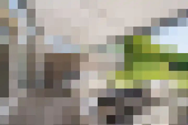 Aetsveld 21 Vinkeveen thumbnail 31