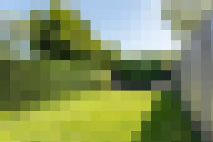 Aetsveld 21 Vinkeveen thumbnail 34