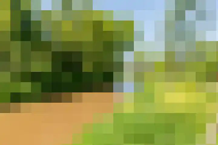 Aetsveld 21 Vinkeveen thumbnail 41