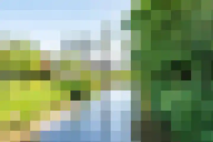 Aetsveld 21 Vinkeveen thumbnail 42