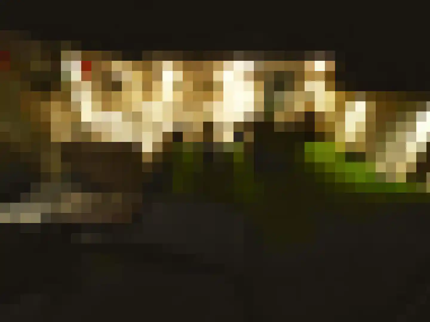 Aetsveld 36 Vinkeveen thumbnail 34