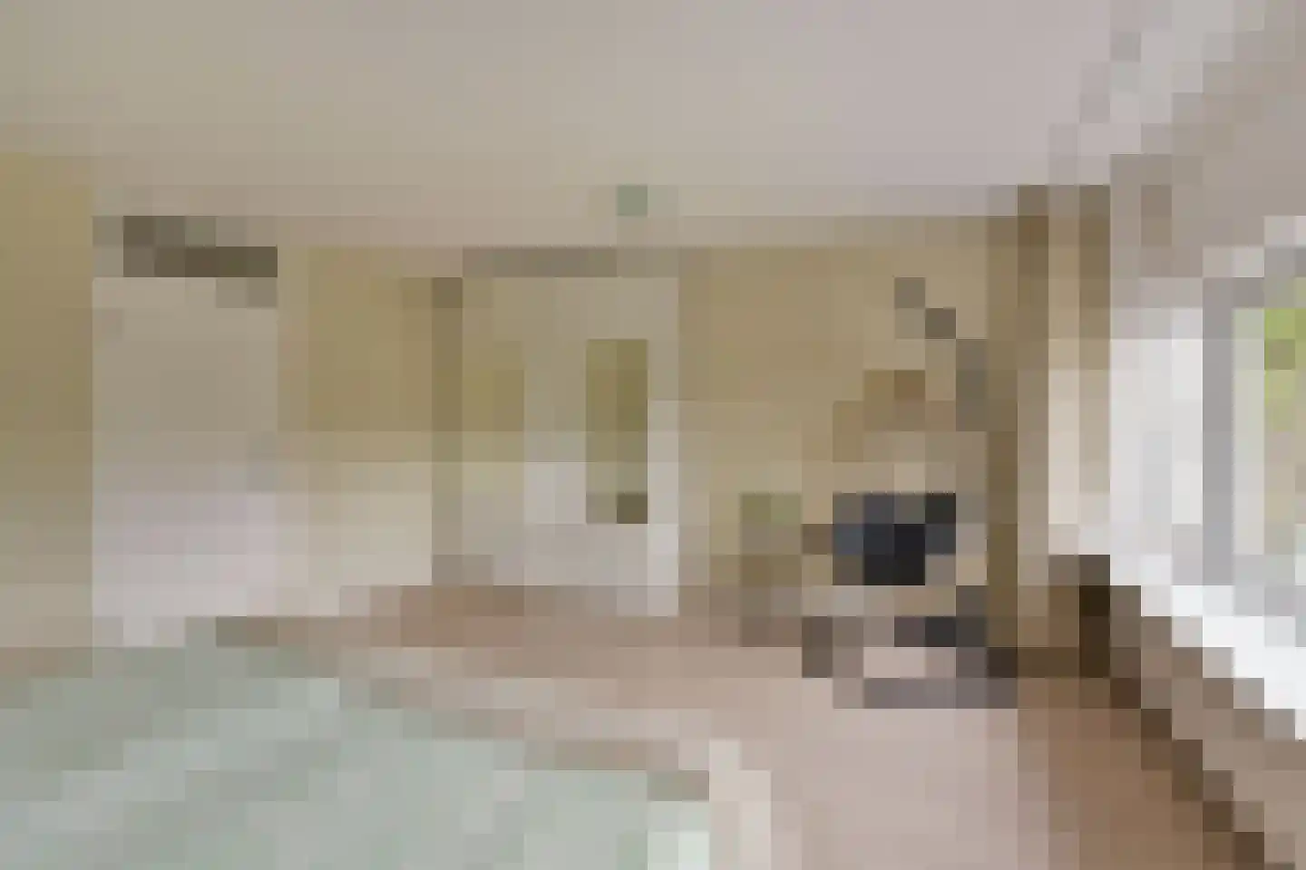 Aetsveld 43 Vinkeveen thumbnail 19