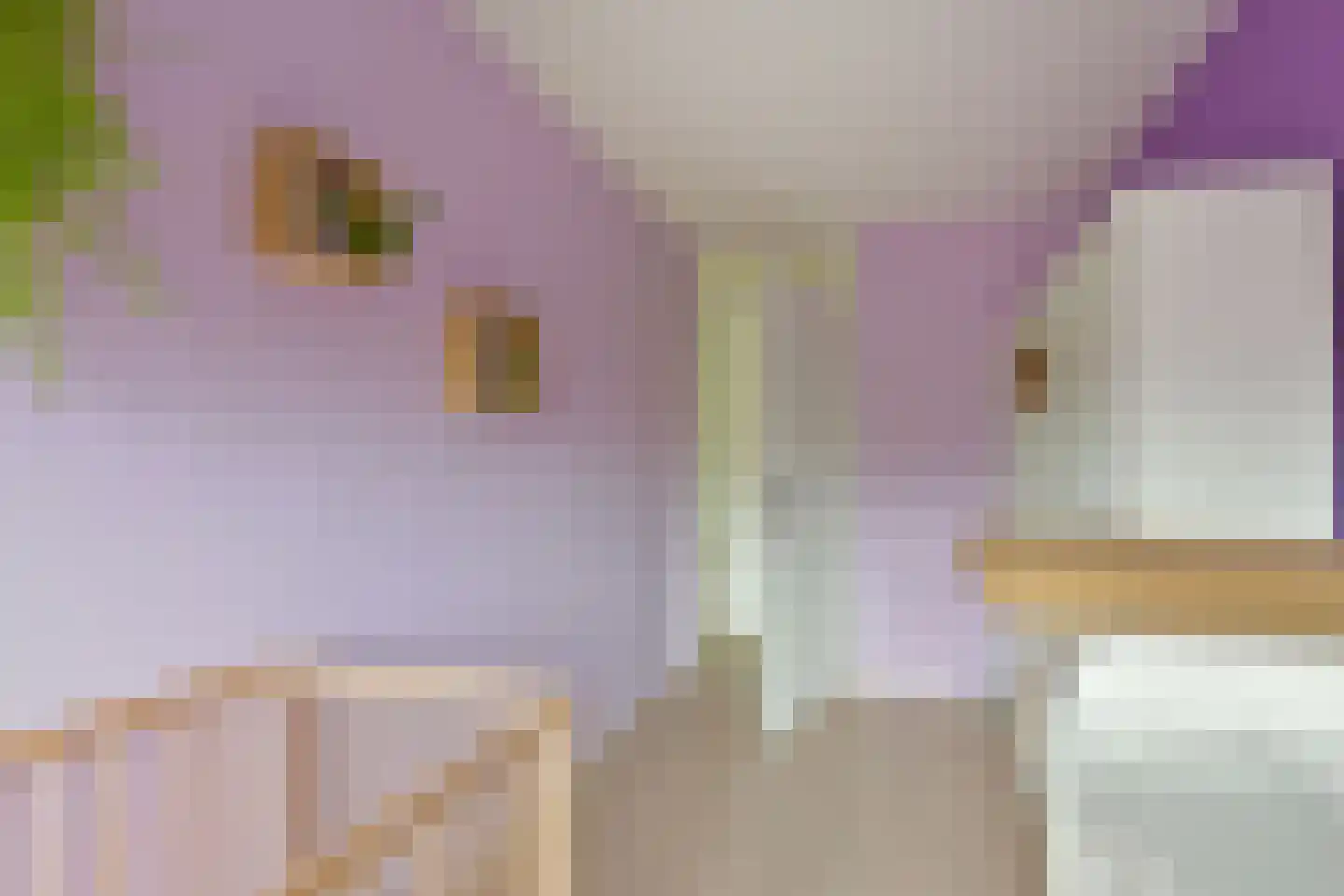 Aetsveld 43 Vinkeveen thumbnail 21