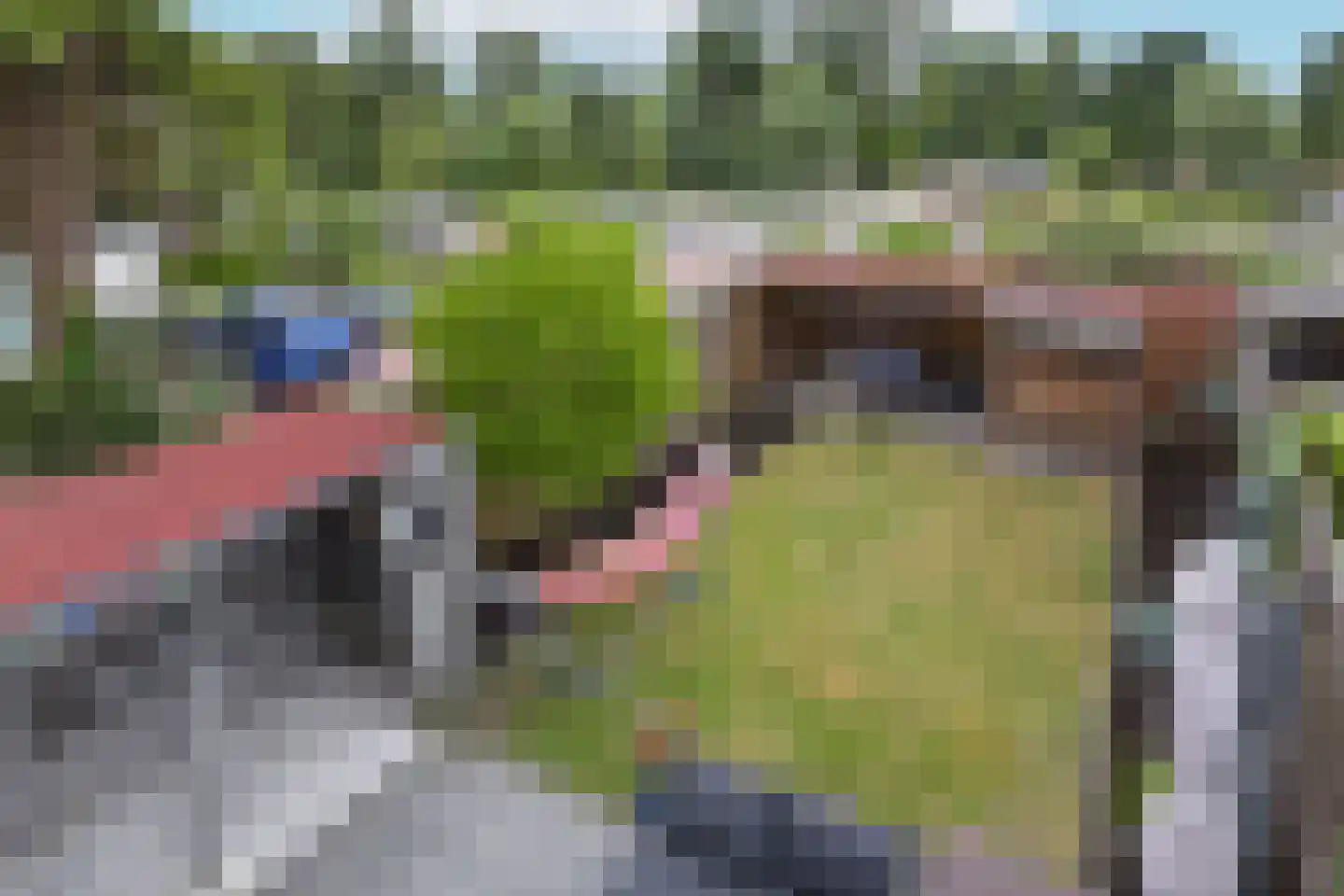 Aetsveld 43 Vinkeveen thumbnail 29