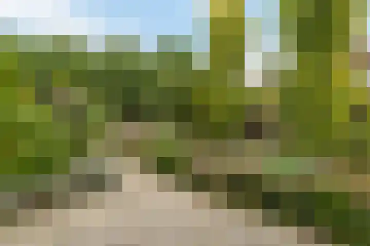 Aetsveldselaan 13 b Weesp thumbnail 16
