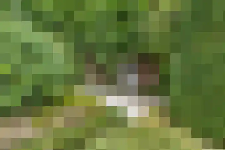 Aetsveldselaan 13 b Weesp thumbnail 19