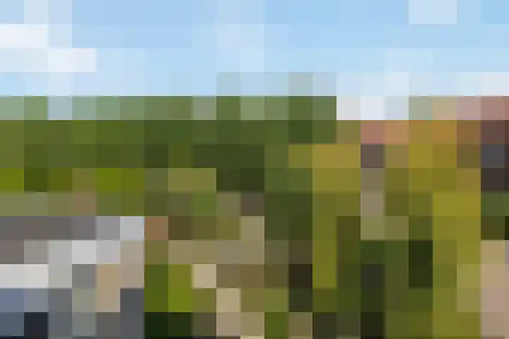 Aetsveldselaan 13 b Weesp thumbnail 26